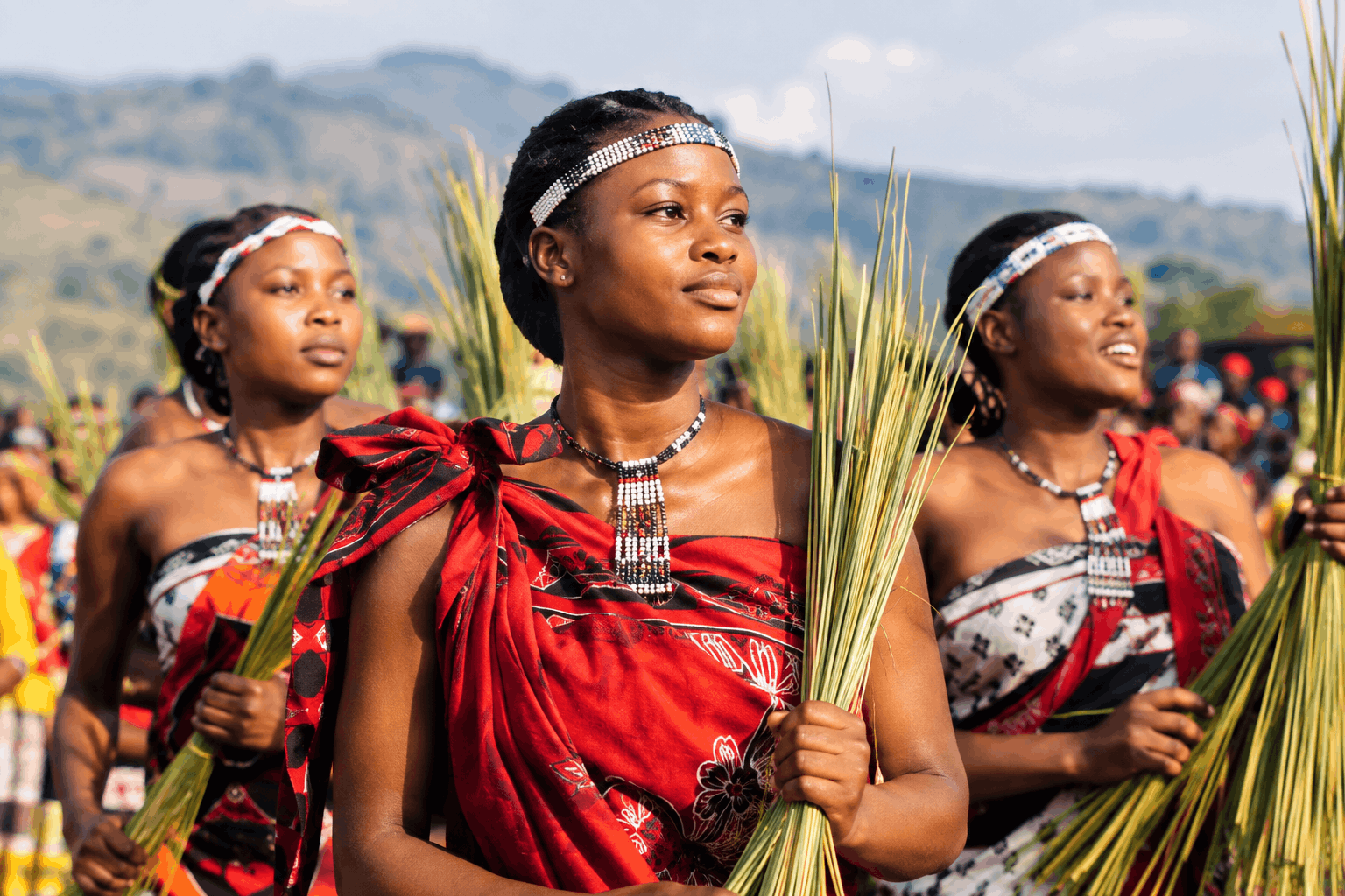 Young Swazi women in traditional attire carry reeds during a cultural ceremony in Eswatini, wearing beaded accessories and standing together against a mountainous landscape.